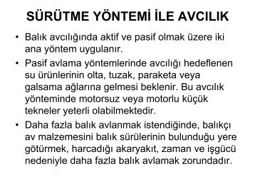 sÃ¼rÃ¼tme yÃ¶ntemi ile avcÄ±lÄ±k