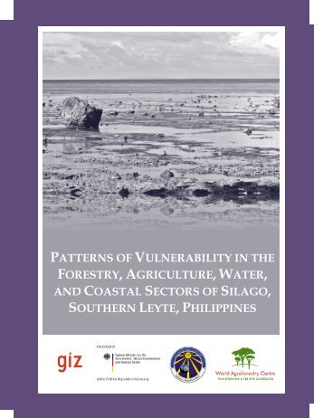Patterns of Vulnerability in 4 Sectors of Silago, Southern Leyte