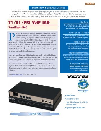 T1/E1/PRI VoIP IAD SmartNode 4960