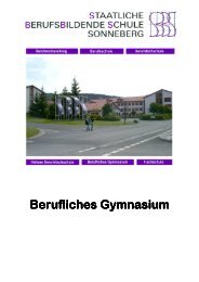 Berufliches Gymnasium Berufliches Gymnasium - Realschule Coburg I