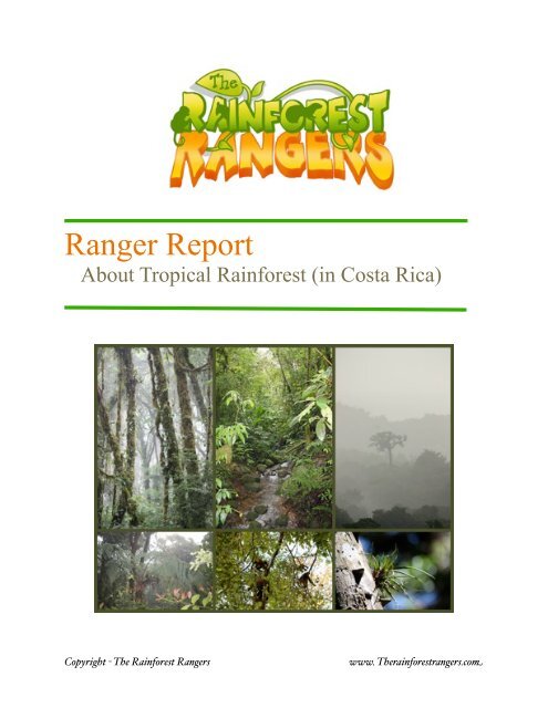 Ranger Report - The Rainforest Rangers