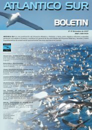 Boletin 4 - Cicmar