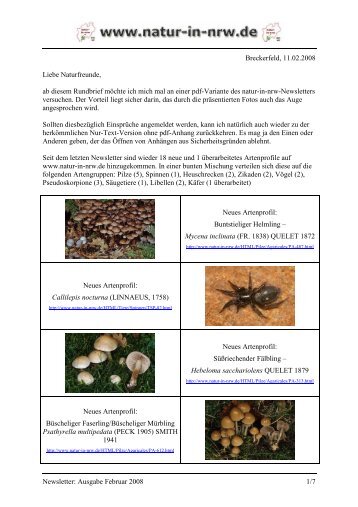 Newsletter: Ausgabe Februar 2008 1/7 ... - Natur-in-NRW.de