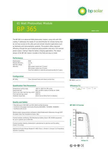 BP 365 - Bright Green Energy