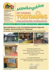 Baumaßnahmen in der Touristinformationim Zuge des ... - Todtmoos