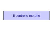 LEZ III ANNO Il controllo motorio.pdf - FISIOTERAPIA-Pavia