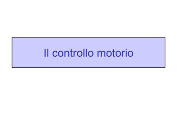 LEZ III ANNO Il controllo motorio.pdf - FISIOTERAPIA-Pavia