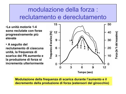 LEZ III ANNO Il controllo motorio.pdf - FISIOTERAPIA-Pavia