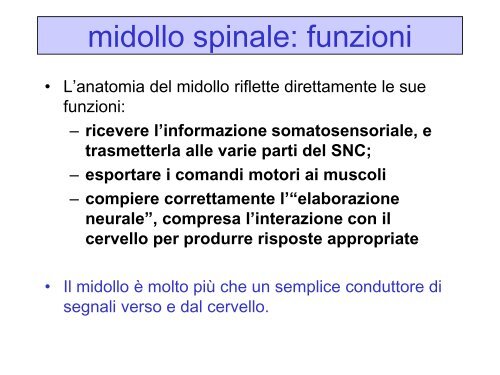 LEZ III ANNO Il controllo motorio.pdf - FISIOTERAPIA-Pavia