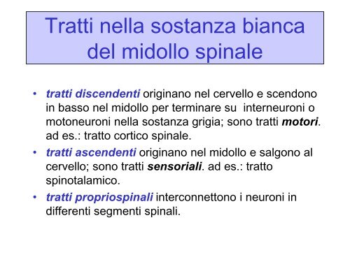 LEZ III ANNO Il controllo motorio.pdf - FISIOTERAPIA-Pavia