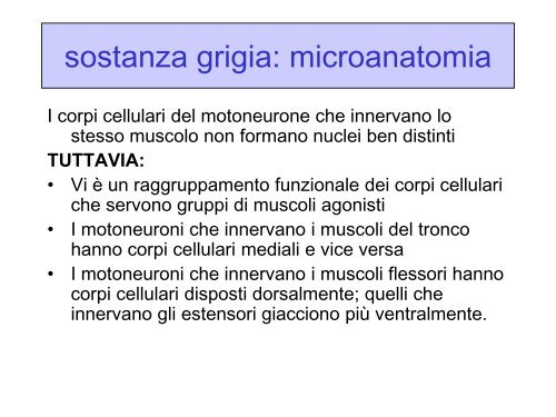 LEZ III ANNO Il controllo motorio.pdf - FISIOTERAPIA-Pavia