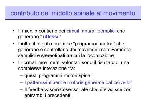 LEZ III ANNO Il controllo motorio.pdf - FISIOTERAPIA-Pavia