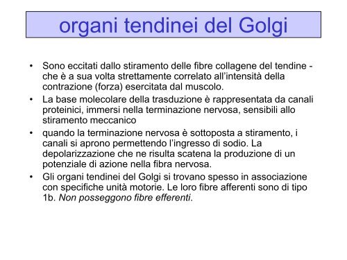 LEZ III ANNO Il controllo motorio.pdf - FISIOTERAPIA-Pavia