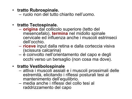 LEZ III ANNO Il controllo motorio.pdf - FISIOTERAPIA-Pavia