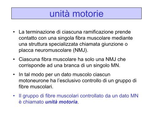 LEZ III ANNO Il controllo motorio.pdf - FISIOTERAPIA-Pavia