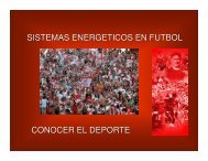 sistemas energeticos en futbol conocer el deporte - Masvida