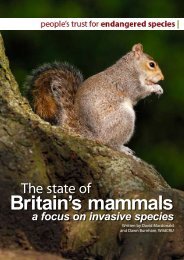 The state of Britain's mammals - People's Trust for Endangered ...