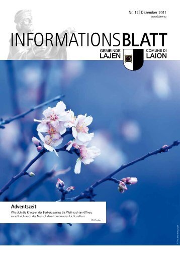 Informationsblatt 12/2011 (2,64 MB)