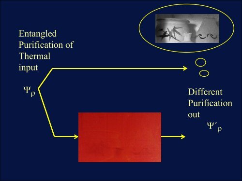 Quantum Information, the Ambiguity of the Past, and the Birth ... - PiTP