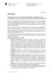 Merkblatt_Saprolegnia_BAFU [PDF, 163 KB]