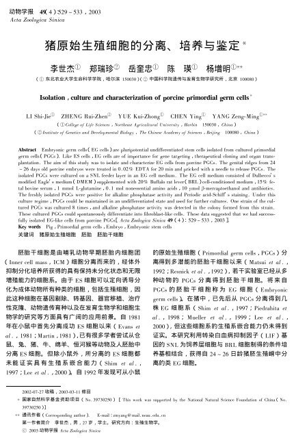 猪原始生殖细胞的分离、培养与鉴定!