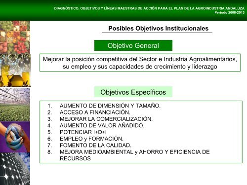 DIAGNÃSTICO, OBJETIVOS Y LÃNEAS MAESTRAS DE ACCIÃN ...