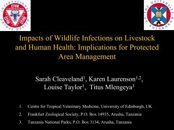 PDF of slides - Animal & Human Health for the Environment and ...