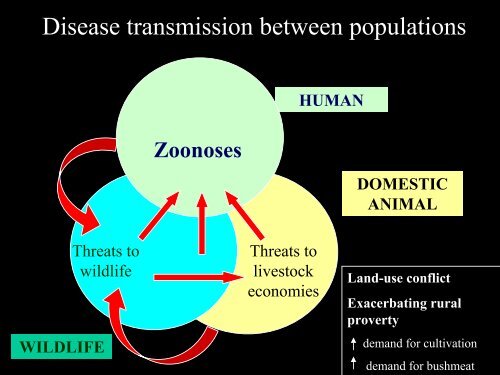 PDF of slides - Animal & Human Health for the Environment and ...