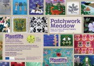 Plantlife-Patchwork-meadow - Wildflower Europe