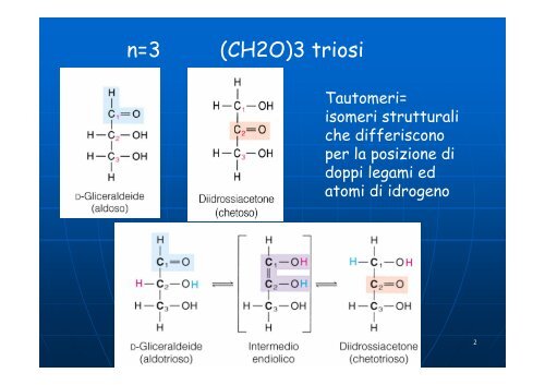 Carboidrati