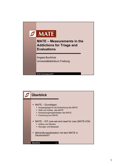 MATE â Measurements in the Addictions for Triage and Evaluations ...