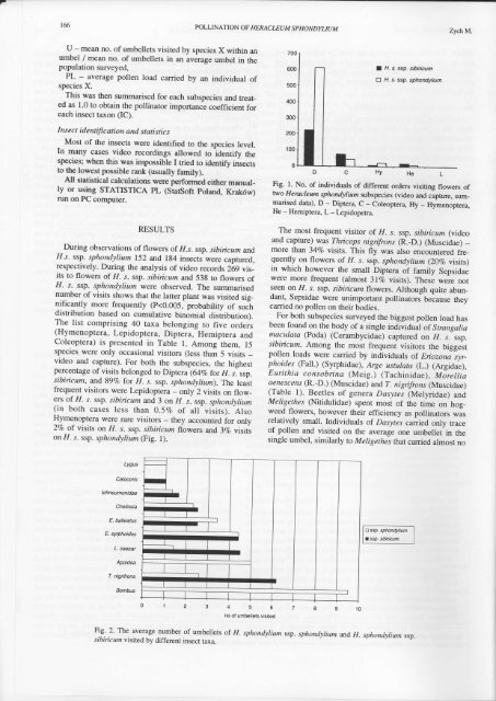 POLLINATION BIOLOGY OF HERACLEUM SPHONDYLIUM L ...