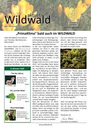 Wald aktuell - Wildwald Vosswinkel