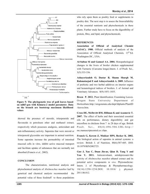 Genetics characterization, nutritional and phytochemicals potential of gedi leaves (Abelmoschus manihot (L.) Medik) growing in the North Sulawesi of Indonesia as a candidate of poultry feed