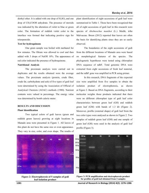 Genetics characterization, nutritional and phytochemicals potential of gedi leaves (Abelmoschus manihot (L.) Medik) growing in the North Sulawesi of Indonesia as a candidate of poultry feed