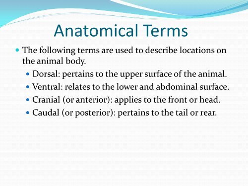 Anatomy and Physiology of Poultry - U.S. Poultry and Egg Association