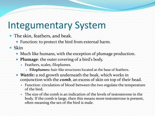 Anatomy and Physiology of Poultry - U.S. Poultry and Egg Association