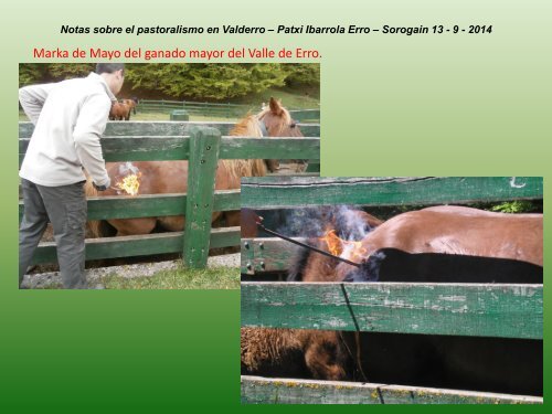 Notas sobre el pastoralismo en Valderro
