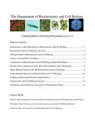 Biochemistry & Cell Biology Advising Packet Fall ... - Rice University