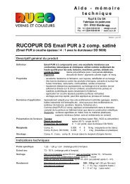 FT_RUCOPUR DS.pdf - 2IP