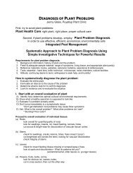 A Systematic Approach to Plant Disease Diagnosis