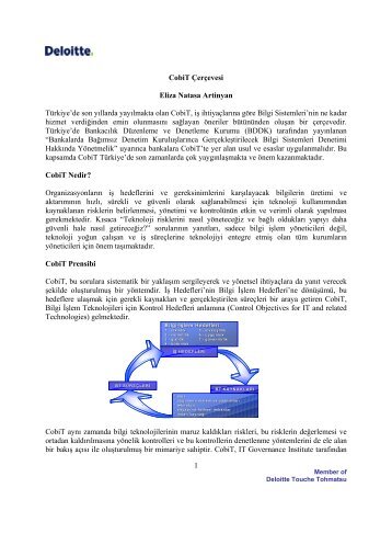 1 CobiT ÃerÃ§evesi Eliza Natasa Artinyan TÃ¼rkiye ... - Denetimnet.Net