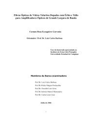 Faça o download da tese completa na versão em PDF - A Biblioteca ...