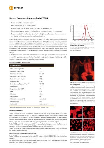 Far-red fluorescent protein TurboFP635 - Evrogen