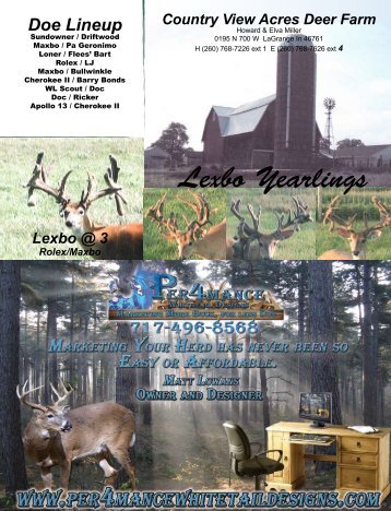 Lexbo Yearlings - Whitetail Deer Farmer