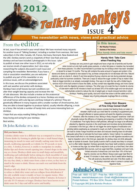 Donkeys Issue Talking Donkeys Issue 4 - Kohnke's Own