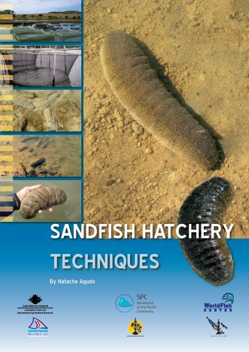 SANDFISH HATCHERY TECHNIQUES - World Fish Center