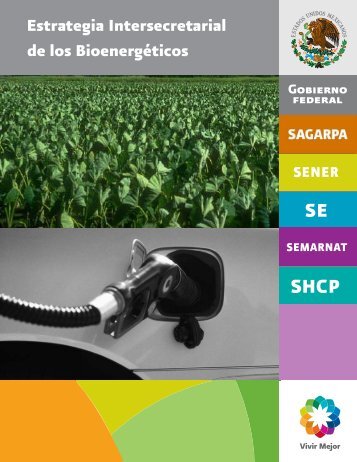 Estrategia Intersecretarial de los BioenergÃ©ticos - Bioenergeticos