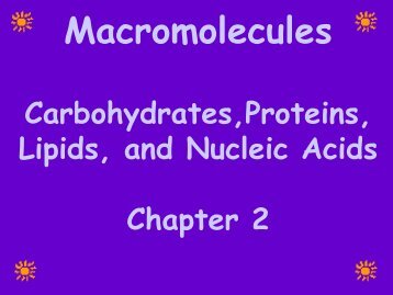 Macromolecules