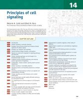 Principles of cell signaling - UT Southwestern